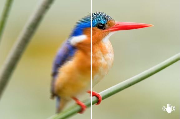 image-(10).jpg image-(10).jpg