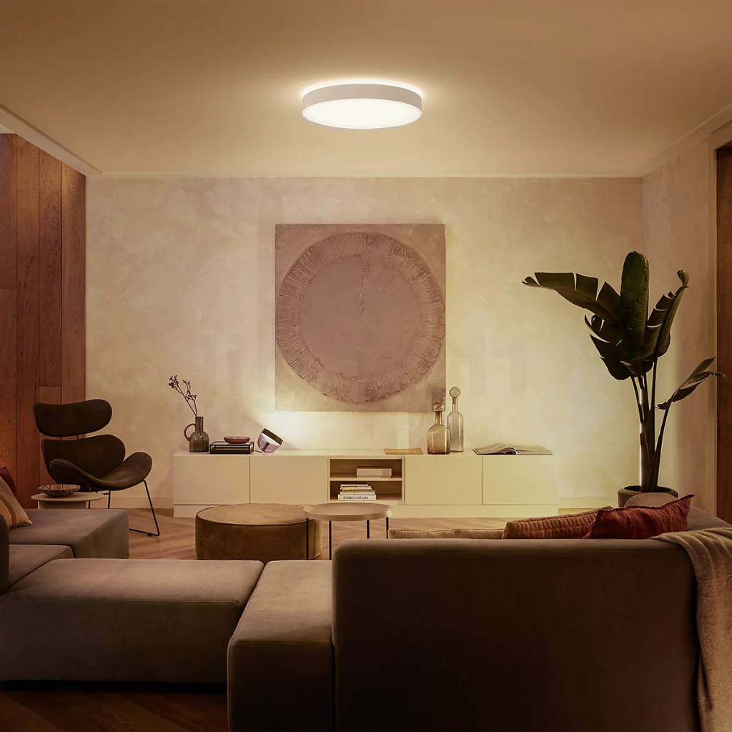 Philips_Hue_White_Ambiance_Enrave_Ceiling_Light_LED_with_dimmer_switch_white___o38_1_cm_discontinued_product--d8c9f299159530f2b0821d6d455a5bdf.png