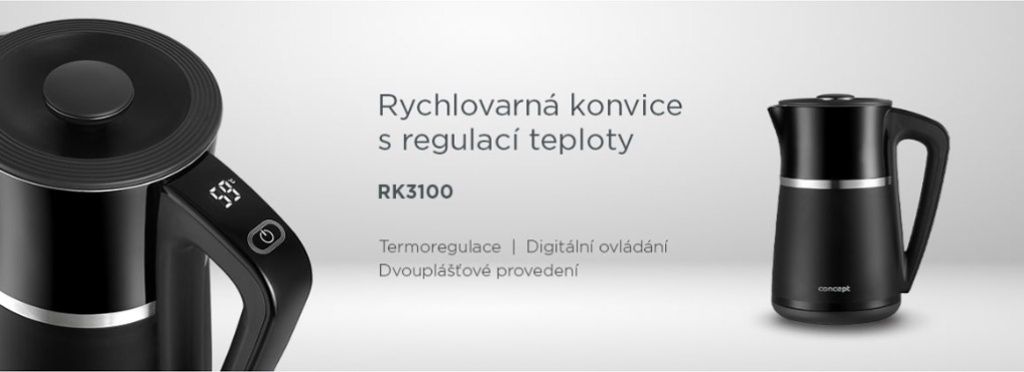 RK3100_uvod.jpg