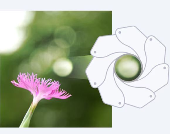 image-(11).jpg image-(11).jpg