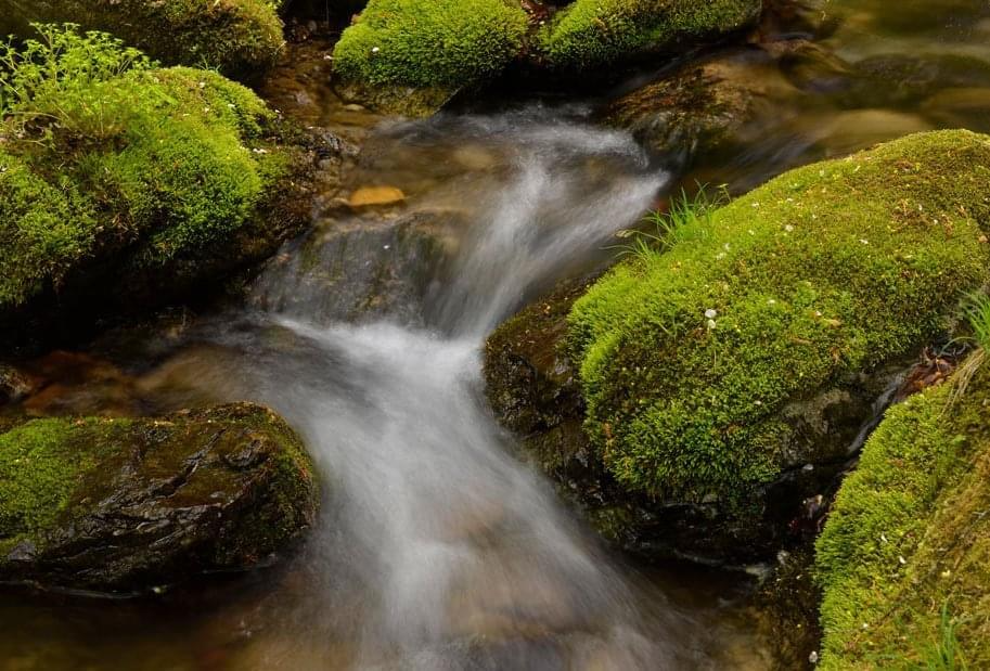 nikon_NIKKOR_AF-S-DX-Micro-NIKKOR-40mm-f2.8G_landscapes--original.png