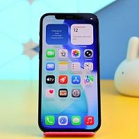 Смартфон Apple iPhone 12 64GB Black (MGJ53) Б/У