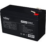 Аккумулятор Njoy AGM 12V (12V/9Ah/108Wh) (GPL09122F)