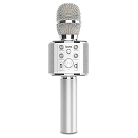 Мікрофон HOCO BK3 Cool Sound (Silver) - придбати в Дніпрі, Україні: ціна, характеристики | інтернет-магазин TOUCH Мікрофон HOCO BK3 Cool Sound (Silver) - придбати в Дніпрі, Україні: ціна, характеристики | інтернет-магазин TOUCH