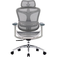 Офисное кресло Sihoo DORO C300L Mesh White (DORO-C300L-A3-102)