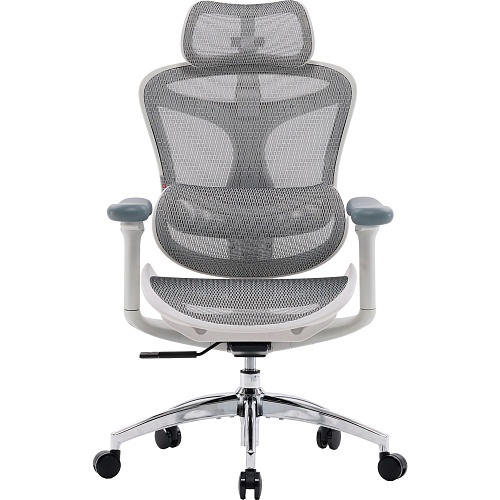 Офисное кресло Sihoo DORO C300L Mesh White (DORO-C300L-A3-102)
