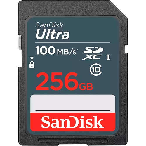 Карта памяти SanDisk 256GB SDXC Ultra UHS-I Class 10 (SDSDUNR-256G-GN3IN) Карта памяти SanDisk 256GB SDXC Ultra UHS-I Class 10 (SDSDUNR-256G-GN3IN)