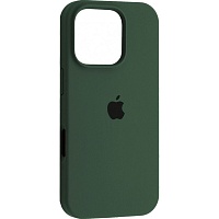 Чехол Silicone Case для Apple iPhone 16 Pro Eucalyptus AA