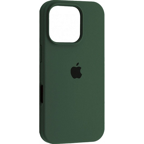 Чехол Silicone Case для Apple iPhone 16 Pro Eucalyptus AA