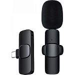 Мікрофонна радіосистема Recordio GAW-910 USB Type-C