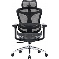 Офисное кресло Sihoo DORO C300L Mesh Black (DORO-C300L-A3-101)