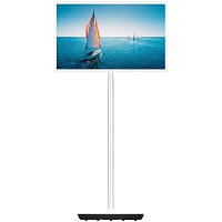 Телевизор Thomson Go TV 32" LCD HD (32HA4M44)