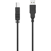 Кабель HP USB 2.0 AM/BM 1.0m (DHC-PT100-1M)