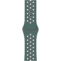 Ремінець Sport Nike для Apple Watch 38/40/41mm Gray/Green - придбати в Дніпрі, Україні: ціна, характеристики | інтернет-магазин TOUCH