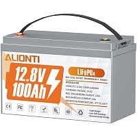 Аккумулятор Alionti LiFePO4 12V (12.8V/100Ah/1280Wh)