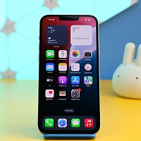 Смартфон Apple iPhone 13 Pro Max 256GB Silver (MLLC3) Б/У