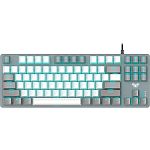 Клавиатура Aula F3287 Keycap KRGD Blue Switch UA Grey/White (6948391240954)