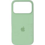 Чехол Silicone Case для Apple iPhone 17 Pro Max Mint AA