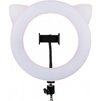 Кільцева LED лампа ASH Кішка 27см - придбати в Дніпрі, Україні: ціна, характеристики | інтернет-магазин TOUCH Кільцева LED лампа ASH Кішка 27см - придбати в Дніпрі, Україні: ціна, характеристики | інтернет-магазин TOUCH