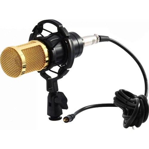 Микрофон студийный конденсаторный Zeepin BM-800