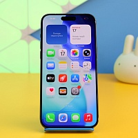 Смартфон Apple iPhone 15 Pro Max 256GB Black Titanium (MU773) Б/У