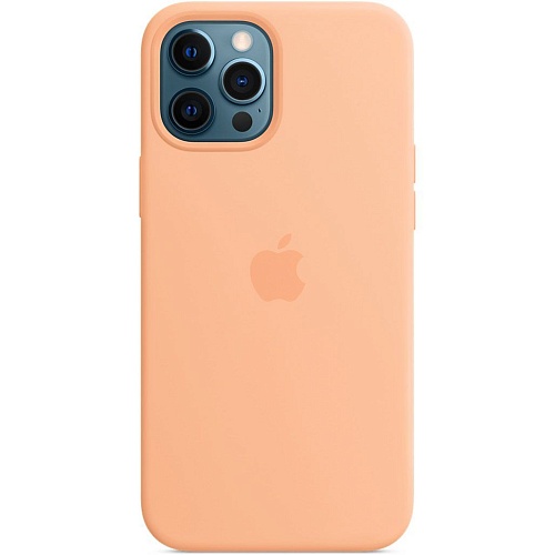 Чехол Silicone Case with MagSafe для iPhone 12 Pro Max (Cantaloupe) AAA
