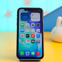 Смартфон Apple iPhone 11 64GB Black (MWLT2) Б/У Смартфон Apple iPhone 11 64GB Black (MWLT2) Б/У
