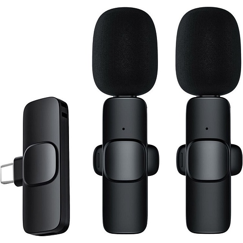 Мікрофонна радіосистема Recordio GAW-920 USB Type-C - придбати в Дніпрі, Україні: ціна, характеристики | інтернет-магазин TOUCH
