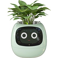 Інтерактивний розумний горщик для рослин Ivy Smart Planter Tuya AI Green - придбати в Дніпрі, Україні: ціна, характеристики | інтернет-магазин TOUCH