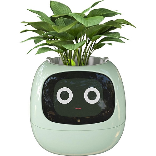 Інтерактивний розумний горщик для рослин Ivy Smart Planter Tuya AI Green - придбати в Дніпрі, Україні: ціна, характеристики | інтернет-магазин TOUCH