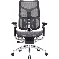 Офисное кресло Sihoo DORO S300 Mesh Dark Grey (S300-M201)