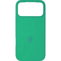 Чехол Silicone Case для Apple iPhone 17 Pro Max Spearmint AA Чехол Silicone Case для Apple iPhone 17 Pro Max Spearmint AA