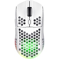 Мышь Trust GXT 929 Helox Wireless/USB White (25390) Мышь Trust GXT 929 Helox Wireless/USB White (25390)