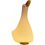 Нічник DK Looking up at the duck A013