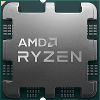 Процессор AMD Ryzen 9 7900 Tray (100-000000590) UA