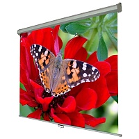 Проекционный экран Walfix 72" (SNM-1) Проекционный экран Walfix 72" (SNM-1)
