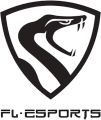 FL ESPORTS