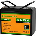 Аккумулятор Eco-Worthy LiFePO4 12V (12.8V/100Ah/1280Wh) (Eco-Worthy-12100bt)