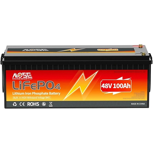 Акумулятор MOSEWORTH LiFePO4 48V (48V/100Ah/4800Wh) BMS - придбати в Дніпрі, Україні: ціна, характеристики | інтернет-магазин TOUCH