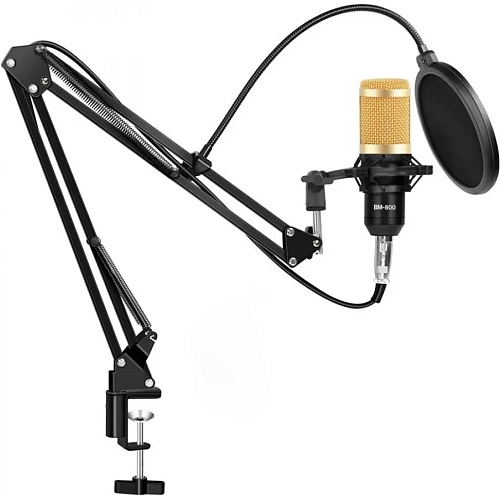 Мікрофон ZEEPIN BM 800 + BM-800 HXDY01+2 48В USB - придбати в Дніпрі, Україні: ціна, характеристики | інтернет-магазин TOUCH