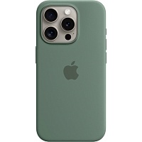 Чехол Silicone Case with MagSafe для Apple iPhone 15 Pro Cypress AAA