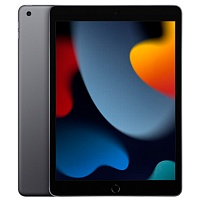 Планшет Apple iPad 10.2" (9 Gen) 256GB Wi-Fi Space Gray 2021 (MK2N3)