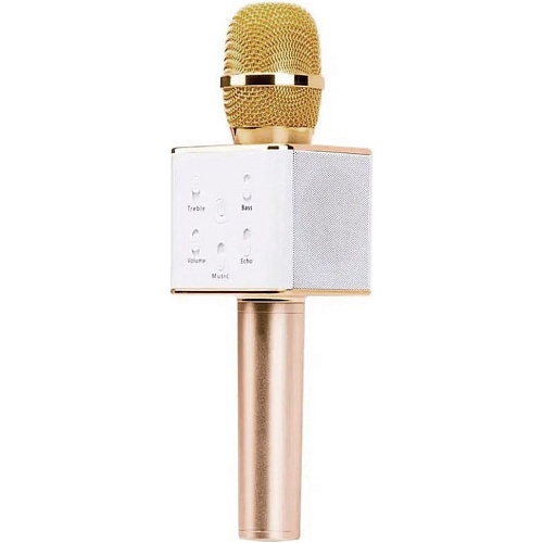 Микрофон с караоке Wster Q7 Gold