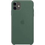 Чехол Silicone Case для Apple iPhone 11 (Pine Green) AA
