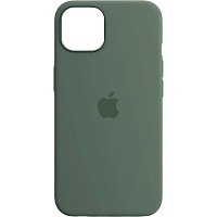 Чехол Silicone Case для Apple iPhone 16 Pro Max Eucalyptus АА