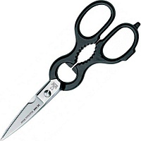 Кухонные ножницы Due Cigni Forbici Speciali mod.969 (2C 969/21) Кухонные ножницы Due Cigni Forbici Speciali mod.969 (2C 969/21)