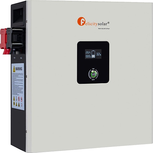 Аккумулятор FelicityESS LiFePO4 24V (25.6V/200Ah/5120Wh) (LPBF24200-A)