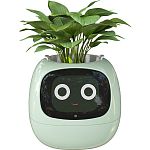 Інтерактивний розумний горщик для рослин Ivy Smart Planter Tuya AI Green