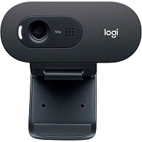 Веб-камера Logitech C505e HD (960-001372) Веб-камера Logitech C505e HD (960-001372)