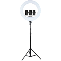 Кільцева LED лампа зі штативом AC Prof LED RL-21 54см - придбати в Україні: ціна, характеристики | TOUCH Кільцева LED лампа зі штативом AC Prof LED RL-21 54см - придбати в Україні: ціна, характеристики | TOUCH